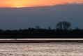 013_Biebrza - kwiecien 2010